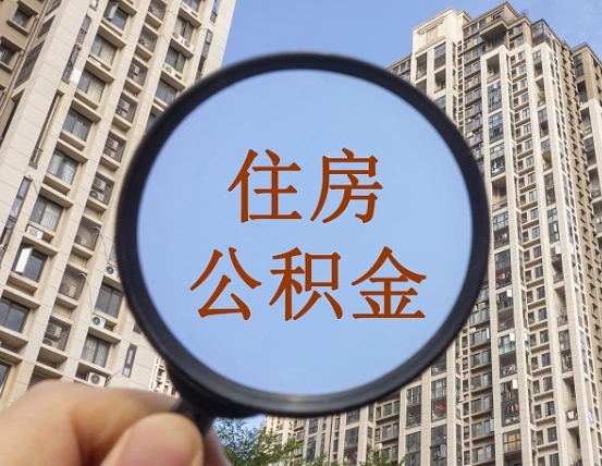 公积金利率怎么查询-樟树公积金代办平台